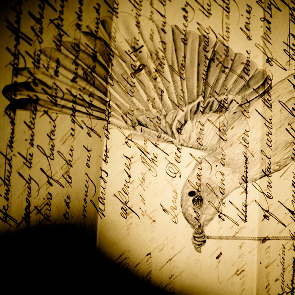 Harriet GreyBird Letter