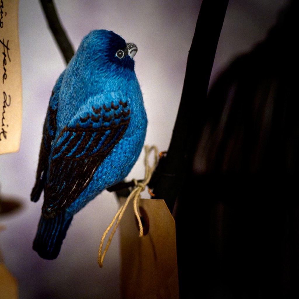 Catherine Frere SmithIndigo Bunting Bird
